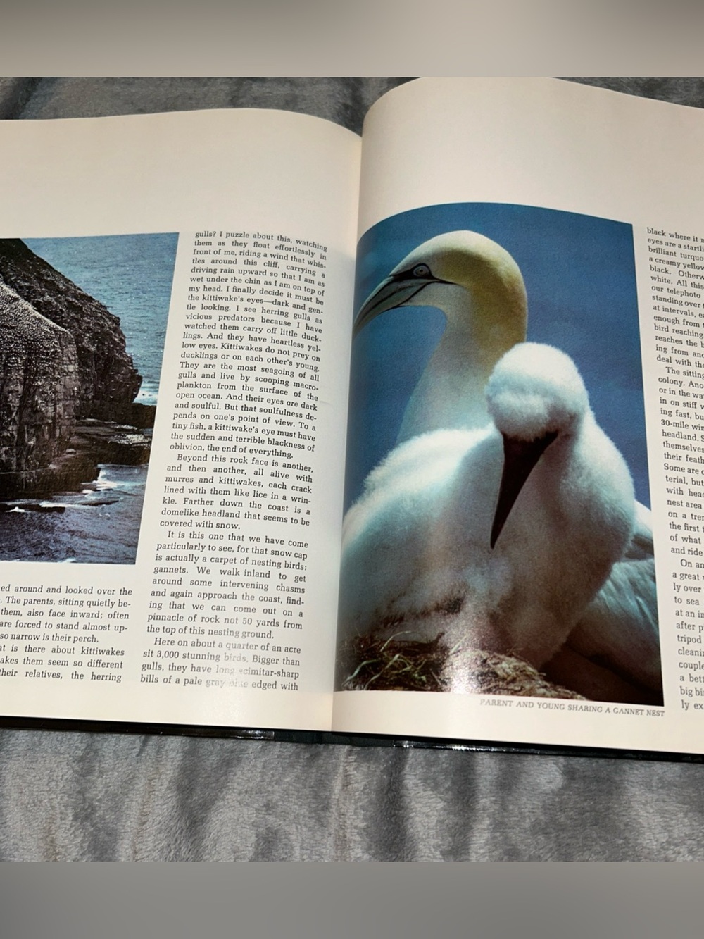 Time Life Books The Northeast Coast American Wilderness 1973 Vintage Hardcover - Picture 12 of 15